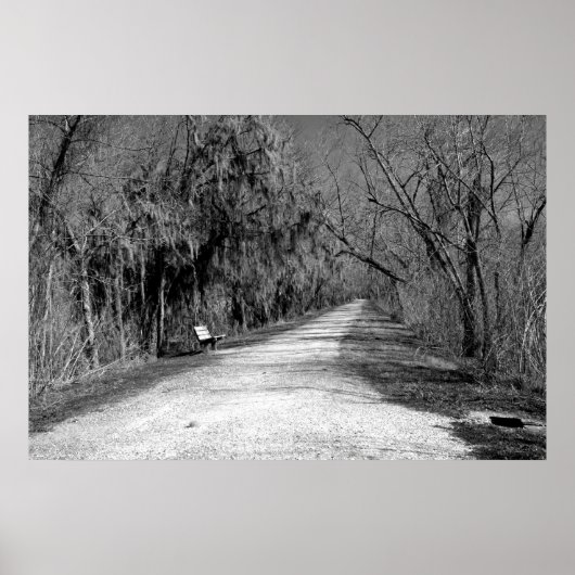 ザベンチ ポスター (正面)