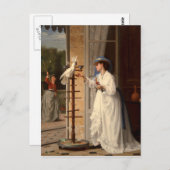 ザペットコッカトゥー ポストカード (正面/裏面)