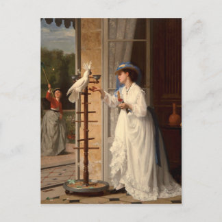 ザペットコッカトゥー ポストカード