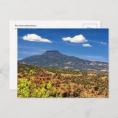 ザペデラル ポストカード (正面/裏面)