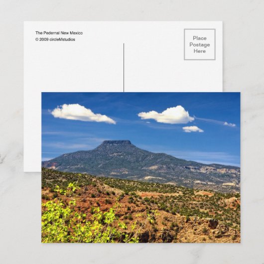 ザペデラル ポストカード (正面/裏面)