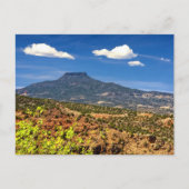 ザペデラル ポストカード (正面)