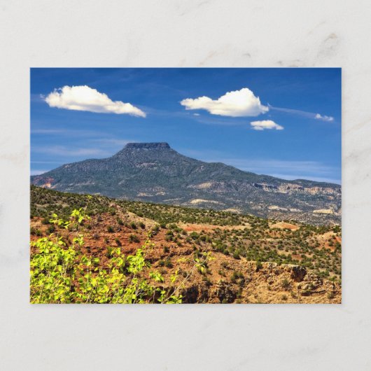 ザペデラル ポストカード (正面)