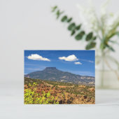 ザペデラル ポストカード (スタンド正面)