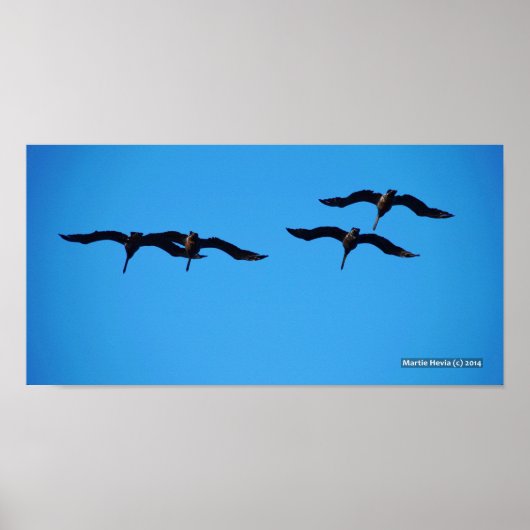 ザペリカン4 ポスター (正面)