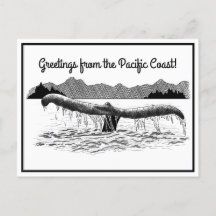 ザホエールズテール