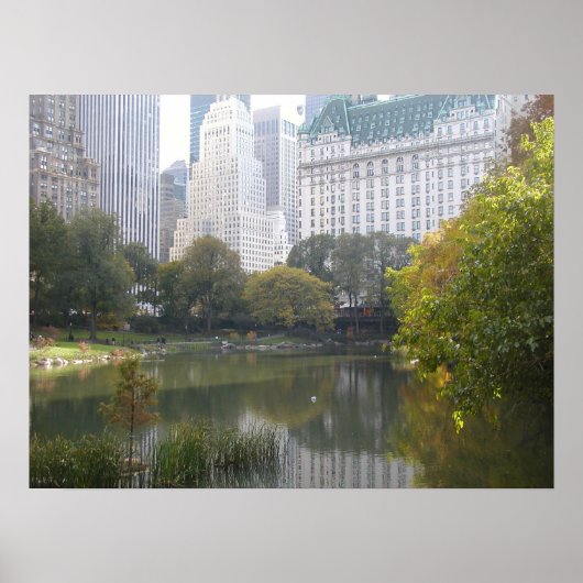 ザホテルアットセントラルパーク ポスター (正面)