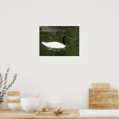 ザホワイトスワン ポスター (キッチン)