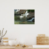 ザホワイトスワン ポスター (キッチン)