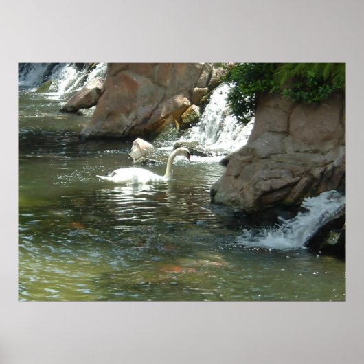 ザホワイトスワン ポスター (正面)