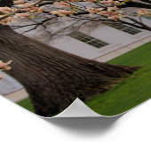 ザホワイトハウスコラージュ ポスター (角)