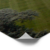 ザホワイトハウスサザンファサード ポスター (角)