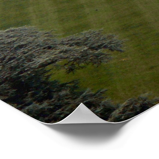 ザホワイトハウスサザンファサード ポスター (角)