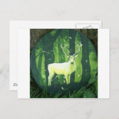 ザホワイトハート ポストカード (正面/裏面)