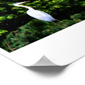 ザホワイトバードプリント ポスター (角)