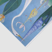 ザホワイトヘロンバイジョセフ・ステラ 薄葉紙 (詳細)