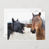 ザホースペスターラー ポストカード (正面/裏面)