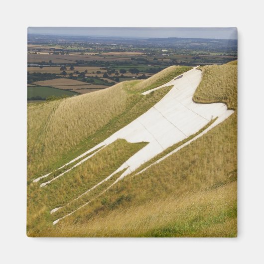 ザホース マグネット (正面)