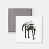 ザホース マグネット (正面/裏面)