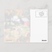 ザホームステッド ポストカード (裏面)