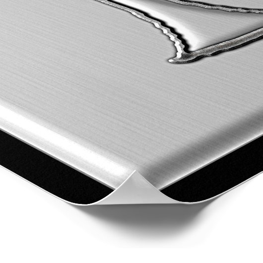 ザホーン ポスター (角)