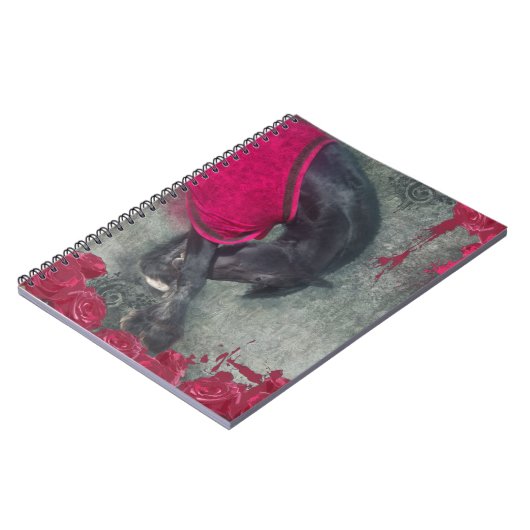 ザボウ – ノート (左側)