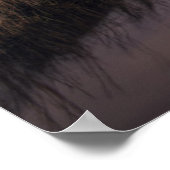 ザボディーアイランドライトハウスアットサンセット ポスター (角)