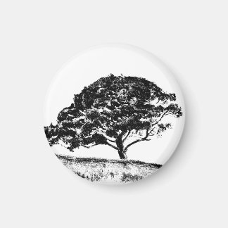 ザボナベンチャーパイン マグネット