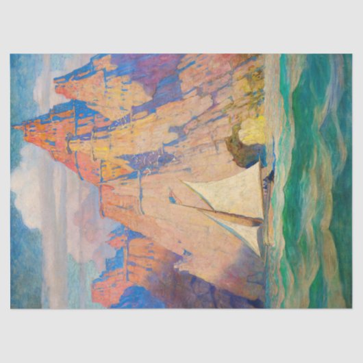 ザボンアドベンチャーバイネウェルコンバーズワイエス 薄葉紙 (正面)