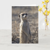 ザポッド第12誕生日カード5 カード (黄色い花)