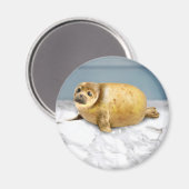 ザポテトシール マグネット (正面/裏面)