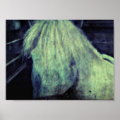 ザポニー ポスター (正面)