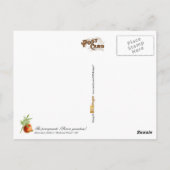 ザポメグラネート – ヴィンテージイラストレーション ポストカード (裏面)