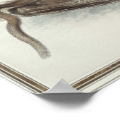 ザポリカ、19世紀 ポスター (角)