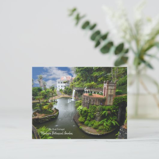 ザポルト実在ガルマデイラ植物園ポスカ ポストカード (スタンド正面)