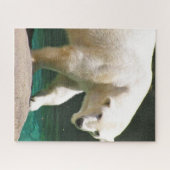 ザポーラベアパズル ジグソーパズル (横)