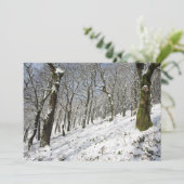 ザマクレスフィールドフォレストウィンターカード サンキューカード (スタンド正面)