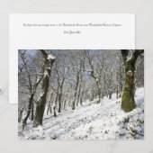 ザマクレスフィールドフォレストウィンターカード サンキューカード (正面/裏面)