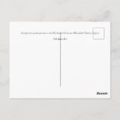 ザマクレスフィールドフォレストウィンターカード ポストカード (裏面)