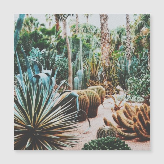 ザマジョレルガーデン – マラケシュ – モロッコ (正面)