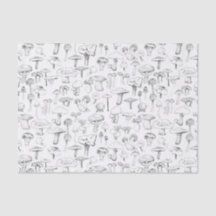 ザマッシュルーム集団