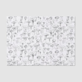 ザマッシュルーム集団 薄葉紙