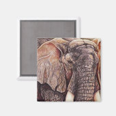 ザマトリアーチ – アフリカゾウ マグネット (正面/裏面)