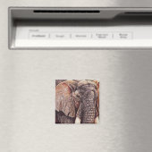 ザマトリアーチ – アフリカゾウ マグネット (インサイチュ (食洗機))