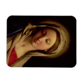 ザマドンナ マグネット (横)