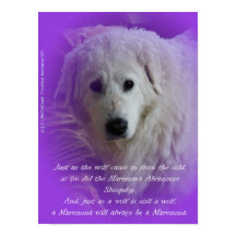 ザマレンマ&ザウルフ