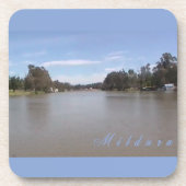 ザマレー コースター (正面)