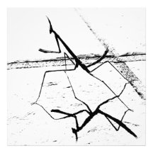 ザマンテ考えィス