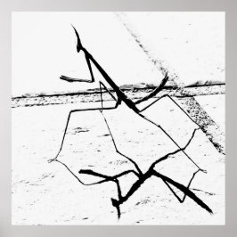 ザマンテ考えィス ポスター