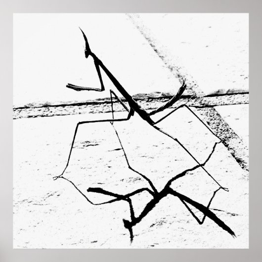 ザマンテ考えィス ポスター (正面)